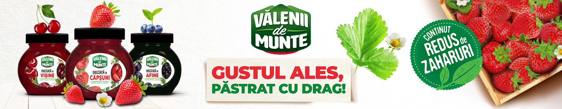 Valenii de munte